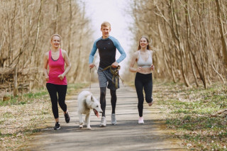 Fitnesstraining Ausdauertraining