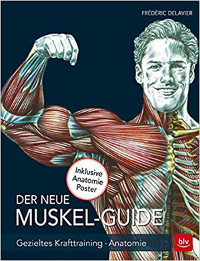 Muskeltraining Muskelaufbau